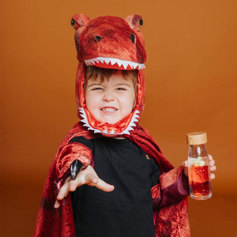 Move Bottle T-Rex - Imagen 5